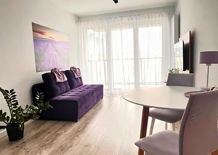 Apartament Purple